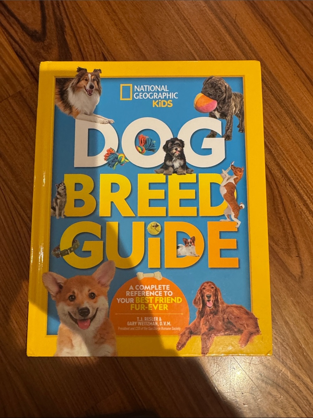 Dog Breed Guide